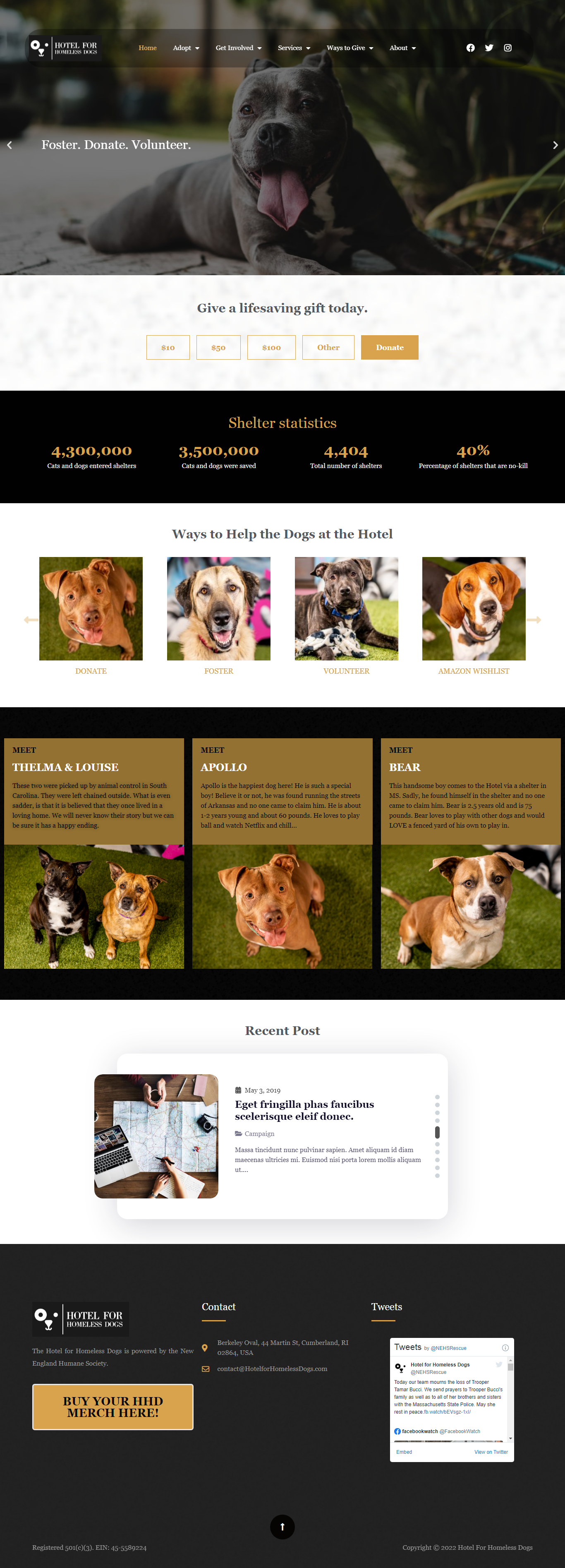 screencapture hotelforhomelessdogs 2022 03 22 12 10 44